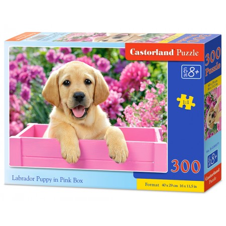 Puzzle 300 el. Labrador Puppy in Pink Box - Labrador w różowym pudełku